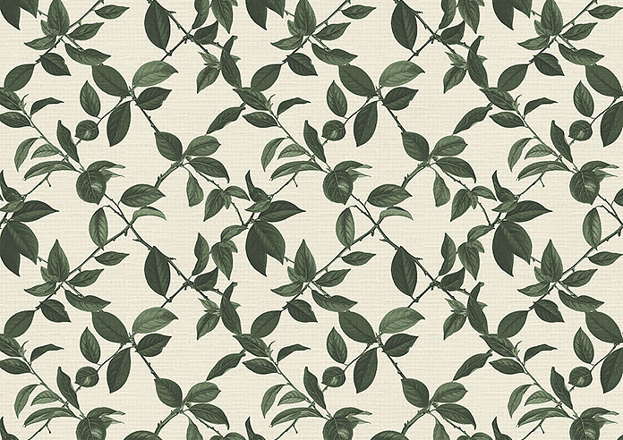 Plum Line, Coriscon - Roman Blind - Image 7